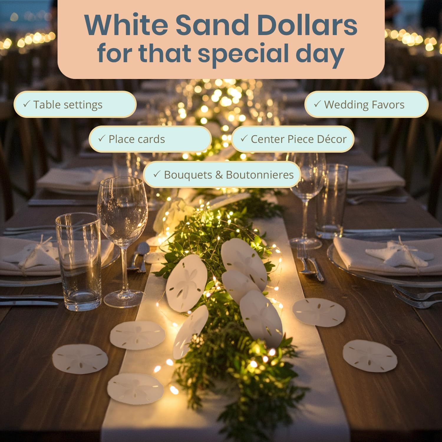 Real Sand Dollars 3" to 3.5" (4 Pack) – Sand Dollar Wall Art & Ornament Set – Beach Wedding Decor – Nautical Party Table Decor – Mini Shells for Crafts – Coastal Gifts