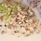 180g Sea Shells Mixed Ocean Beach Seashells Tiny Natural Spiral Seashells for Home Wedding Decorations Fishtank Vase Fillers Candle Making DIY Jewelry Making