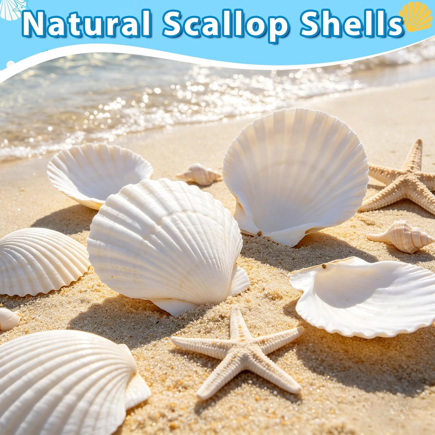 20Pcs 4-5 Inch Large Scallop Shells for Crafts, Natural White Scallop Shells for Baking, Painting, DIY Crafts, Decoupage, Beach Wedding Decor, Large Seashells Bulk for Home