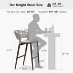 PURPLE LEAF Bar Stool Set of 2 Outdoor Bar Chairs with Footrest Bar Height Stools for Indoor Wicker Coffee Barstools