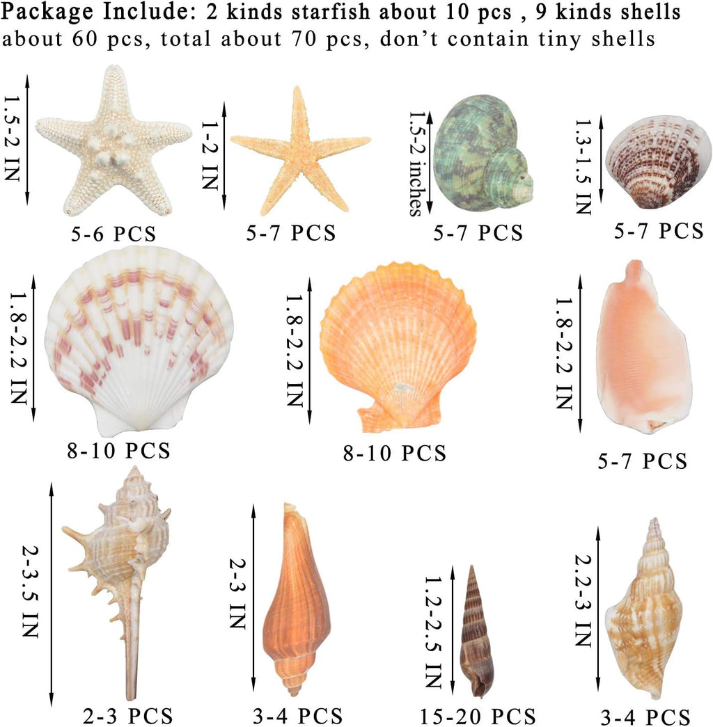 Sea Shells Mixed Beach Seashells 9 Kinds 1.2"-3.5 "Various Sizes Natural Seashells and 2 Kinds of Natural Starfish for Beach Themed Party DIY Crafts Fishtank Vase Fillers Home Wedding Decorations