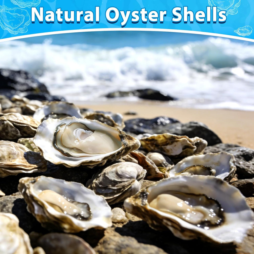 30Pcs Large Flat Oyster Shells for Crafts, 4-5 Inch Cleaned Natural Oyster Shells for Decoupage Painting Vase Filler Wedding DIY Decor Coastal Christmas Large Seashells Art