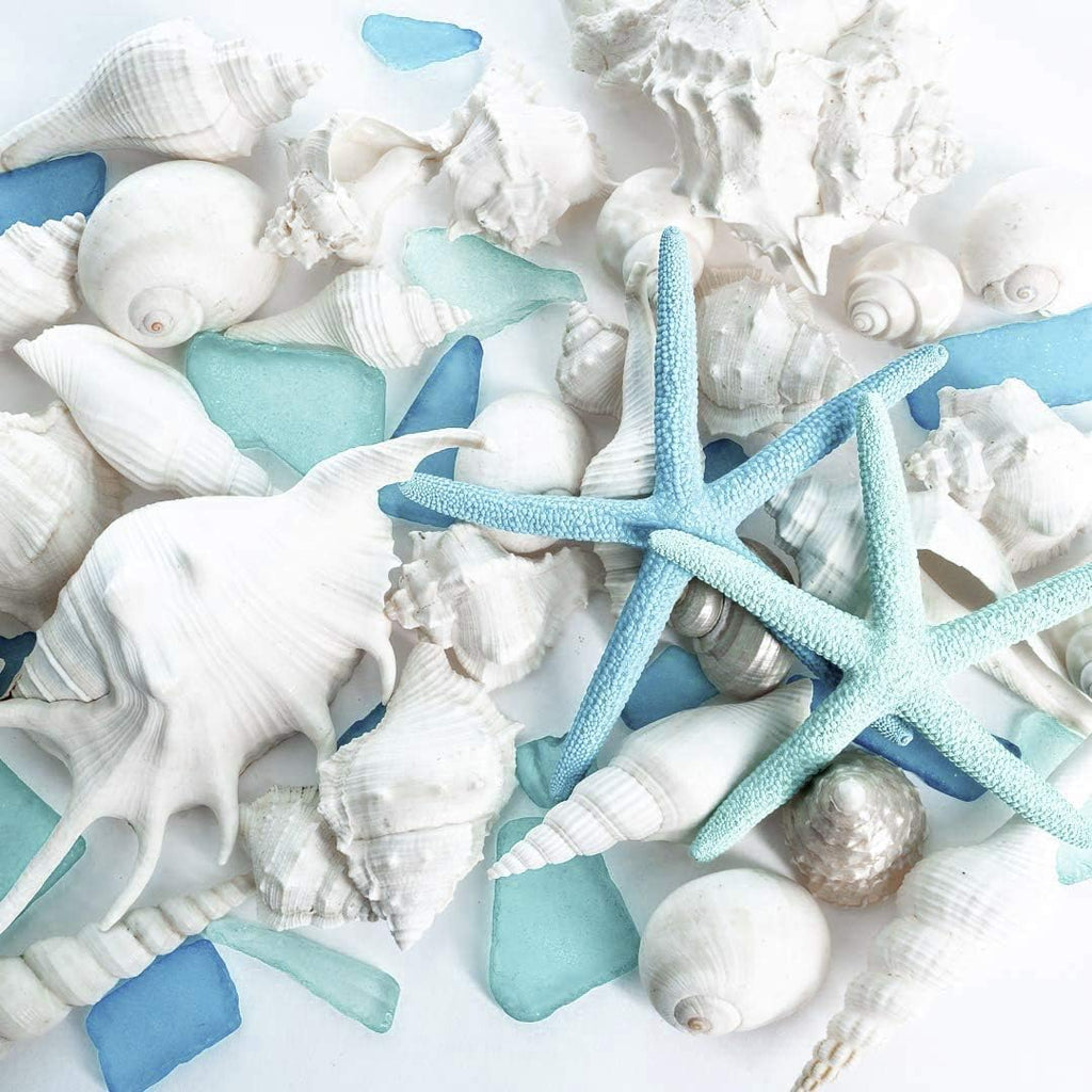 Nautical Crush Trading Sea Shells - White Real Mixed Beach Seashells (1lb) with Starfish & Sea Glass - Shells for Crafts - Ocean Decor - Beach Party Decorations - Seashell Decor - Large Shells Crafts