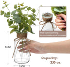 12 Pack Glass Flower Vases with Rope,Brajttt Vintage Bud Vases in Bulk,Mason Jars for Centerpieces,Flower Vase for Centerpieces and Tag for Weddings,Home Decor & DIY Projects