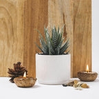 Kurrajong Farmhouse Artificial Succulent Plant in Matte White Ceramic Pot | 7" high Dark Green Aloe Plant | Great as Desk Decor or Bathroom Decor | Beautiful Realistic Faux Succulent