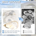 ZYNERY 30PCS Natural Oyster Shells for Crafts, 5"-6" Large Gray Seashells Bulk for DIY Ornaments, Decoupage, Shell Painting, Vase Filler, Beach Decor & Ocean Theme Parties