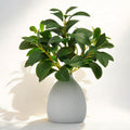 Cikuco 16.5" Artificial Eucalyptus Stems Potted Plant Faux Desk Plants,Real-Touch Greenery Stems with Vase, Fake Potted Plant for Farmhouse Home Office Decor