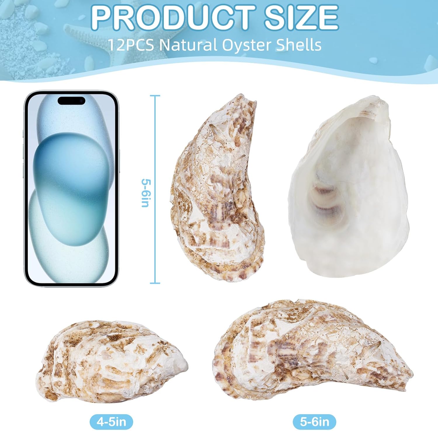 15Pcs Oyster Shells for Crafts, 4-5 Inch Natural Oyster Shells Bulk, Large Sea Shell for Crafting and DIY Painting, Beach Themes and Wedding Decor, Home Vase Fillers, and Xmas Ornaments