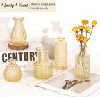 36Pcs Bud Vases Set Small Vintage Glass Bottles Bud Vases in Bulk Multiple Shape Cute Glass Vases for Rustic Wedding Centerpieces Table Decorations and Home Decor (Champagne)