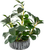AlphaAcc Artificial Plants Decor Greenery Fake Succulents Indoor Potted Fake Plant with Rustic Black Clay Planter for Home Decor Farmhouse Room Bathroom Bedroom Kitchen Office Table Decor