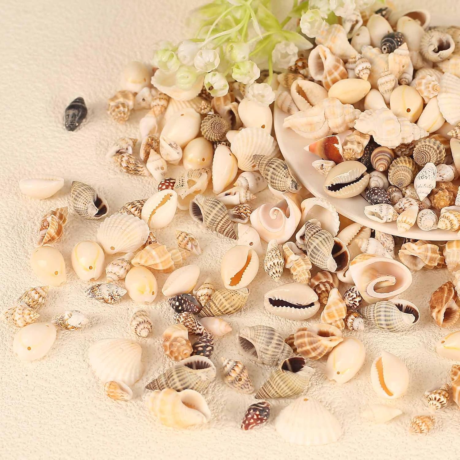 180g Sea Shells Mixed Ocean Beach Seashells Tiny Natural Spiral Seashells for Home Wedding Decorations Fishtank Vase Fillers Candle Making DIY Jewelry Making