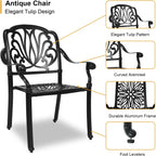 Outdoor Dining Chairs Cast Aluminum, Patio Dining Chairs Set of 2, Conversation Furniture Set for Backyard, Black