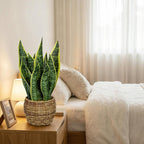 Hollyone Artificial Snake Plant in Woven Basket 17" Faux Sansevieria Trifasciata Plants Large Fake Snake Plants Potted for Home Office Room Farmhouse Indoor Decor Housewarming Gifts