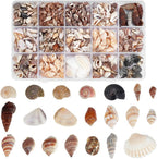 PH PandaHall Sea Shells, 466pcs 15 Style Spiral Shell Beads Undrilled Tiny Natural Sea Shell Ocean Spiral Seashells Miniature Shells for Resin Candle Party Wedding Decor Fish Tank Vase Filler, No Hole