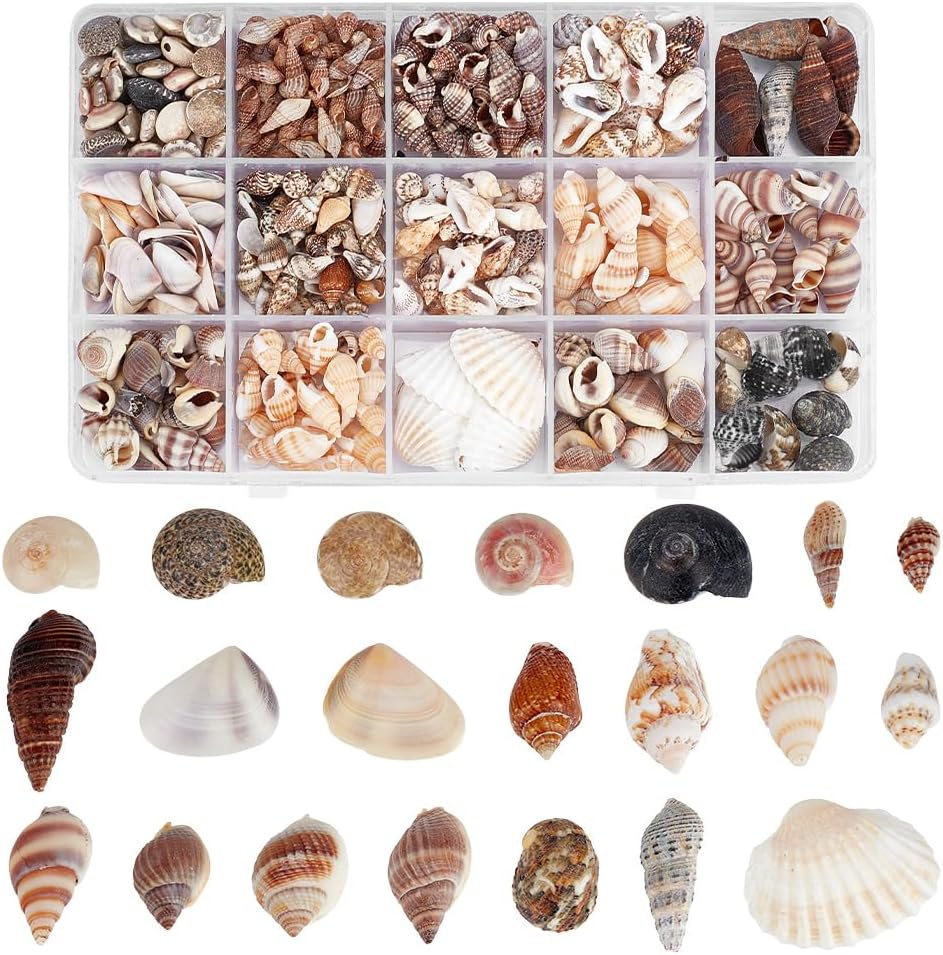 PH PandaHall Sea Shells, 466pcs 15 Style Spiral Shell Beads Undrilled Tiny Natural Sea Shell Ocean Spiral Seashells Miniature Shells for Resin Candle Party Wedding Decor Fish Tank Vase Filler, No Hole