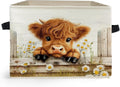 Farmhouse Highland Cow Storage Box Bins, Rustic Daisy Floral Heifer Collapsible Storage Basket Organizer for Girls Bedroom Laundry Room Home Clothes Books, Decor for Room
