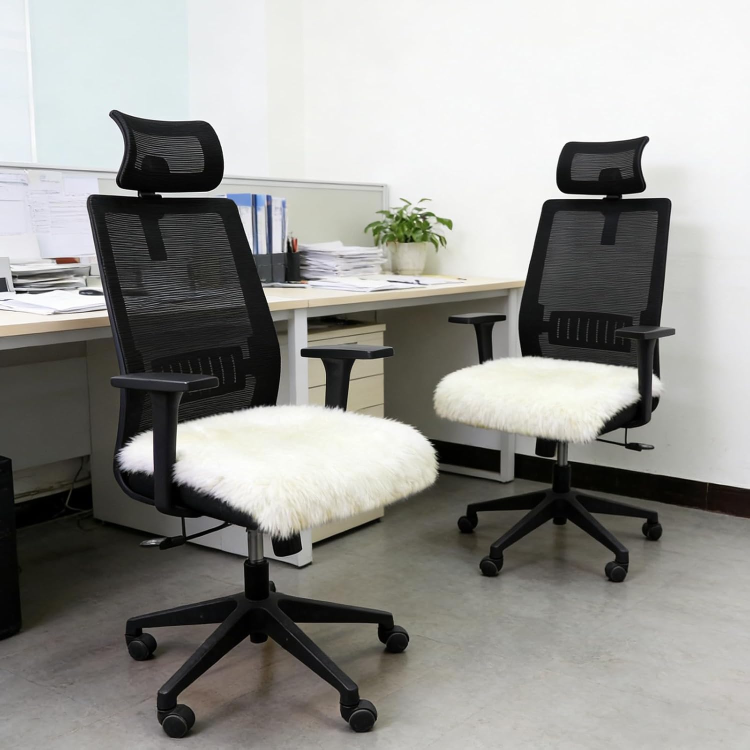 Genuine Sheepskin Chair Pad 2 Pack Anti Slip Design Natural Wool Soft and Comfortable Suitable for Home Living Room Sofa Bedroom Dining Room(18x18 Inch,Cream White)