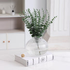 Ribbed Glass Vases, Set of 2 Fluted Vases for Flowers, Clear Glass Vase for Tulips, Modern Vase for Living Room, Kitchen, Office, Entryway, Mantle, Bookshelf, Wedding Gifts, Birthday