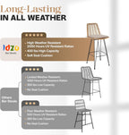 IDZO 400lbs Capacity Rattan Bar Stools Set of 2, 29-Inch Height, Outdoor & Indoor Use, Comfort Cushion, Solid Steel Frame, Durable Powder Coating, Easy Assembly, Ideal for Kitchen Island & Patio