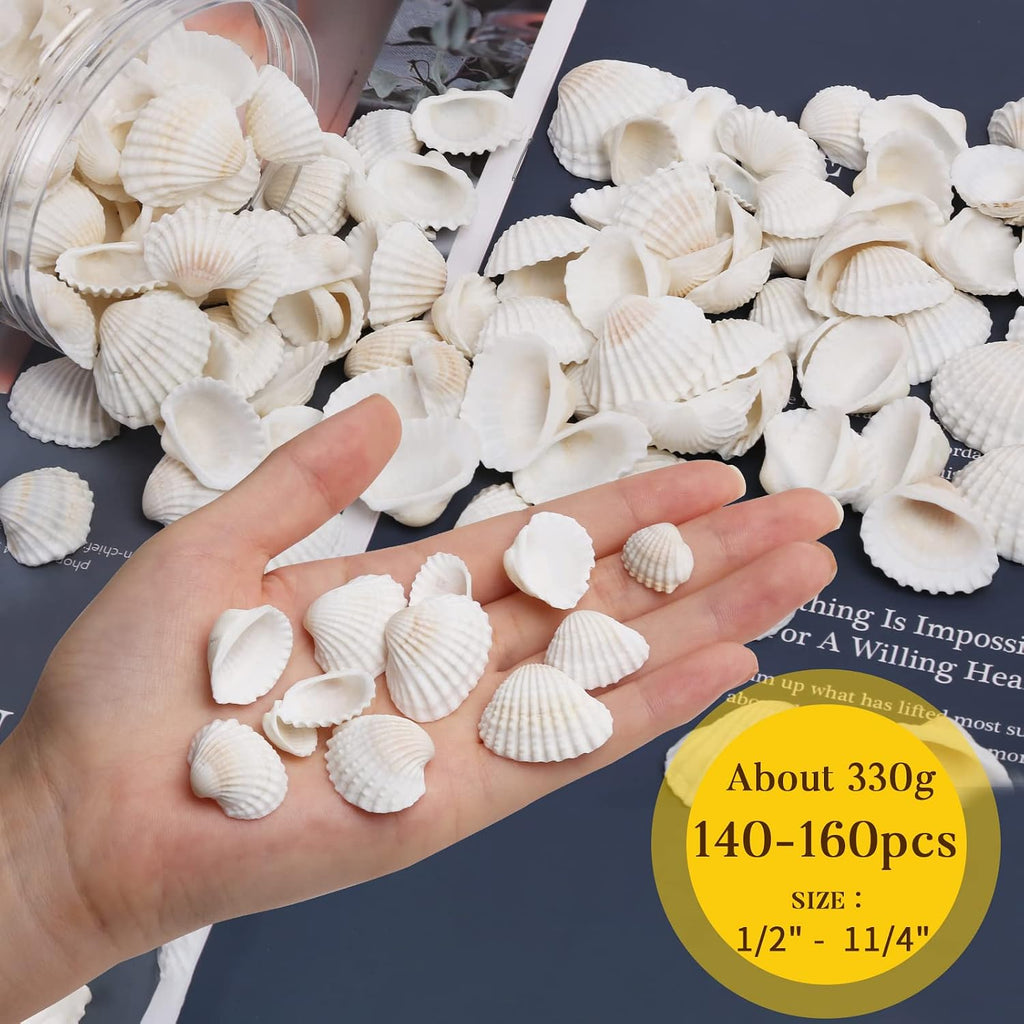 LUCKY BABY 140-160Pcs Small Seashells for Crafts 0.5"-1.25", Natural White Bulk Mini Sea Shells for DIY Painting, Vase Filler, Beach Wedding Decor, Candle Making, Home Decoration, 330g