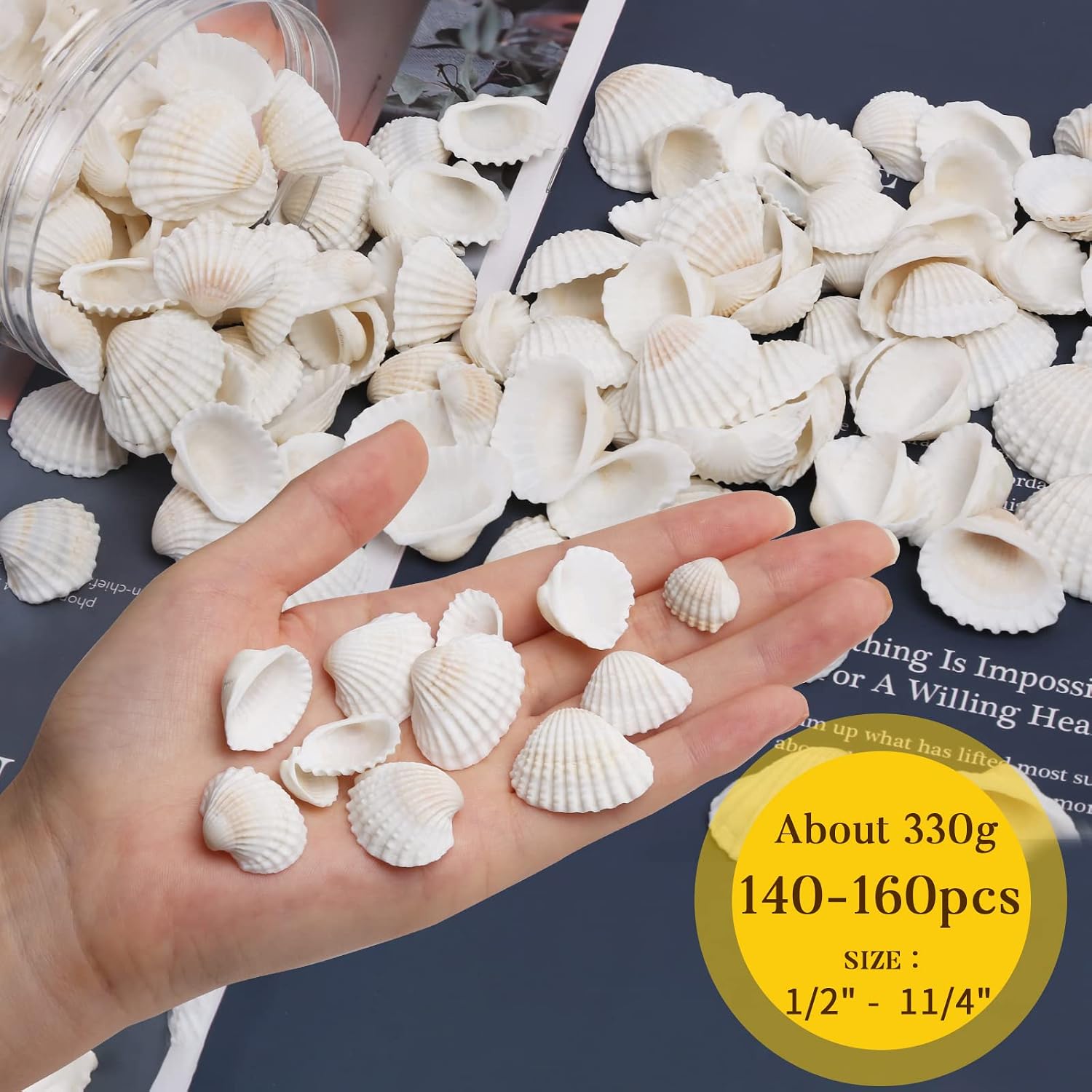 LUCKY BABY 140-160Pcs Small Seashells for Crafts 0.5"-1.25", Natural White Bulk Mini Sea Shells for DIY Painting, Vase Filler, Beach Wedding Decor, Candle Making, Home Decoration, 330g