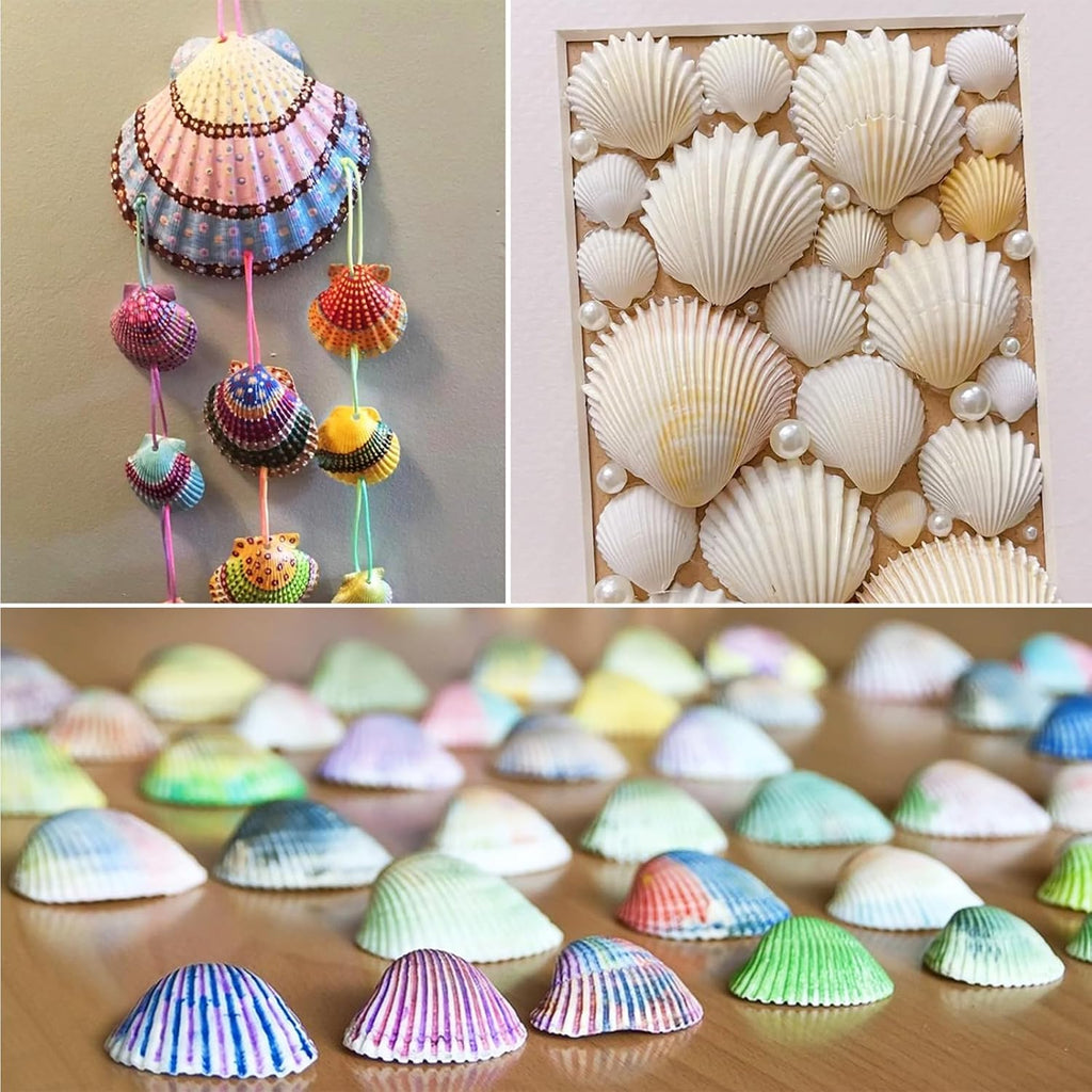 48 PCS Scallop Shells Natural Seashell, 1.5" to 2" White Scallop Shells Small Seashells for Crafts Wedding Decor Beach Theme Party, Fish Tank and Vase Filler
