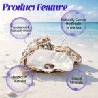 SINKOO 20PCS Concave Oyster Shells 4"-6", Large Oyster Shells for Crafts, Cleaned Natural Oyster Shells Bulk for Christmas, Painting DIY Crafts, Vase Filler, Beach Themes and Sea Shells for Crafts