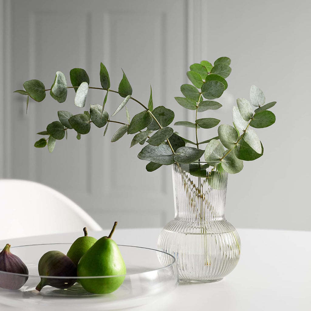 IKEA PÅDRAG vase, 17 cm, clear glass