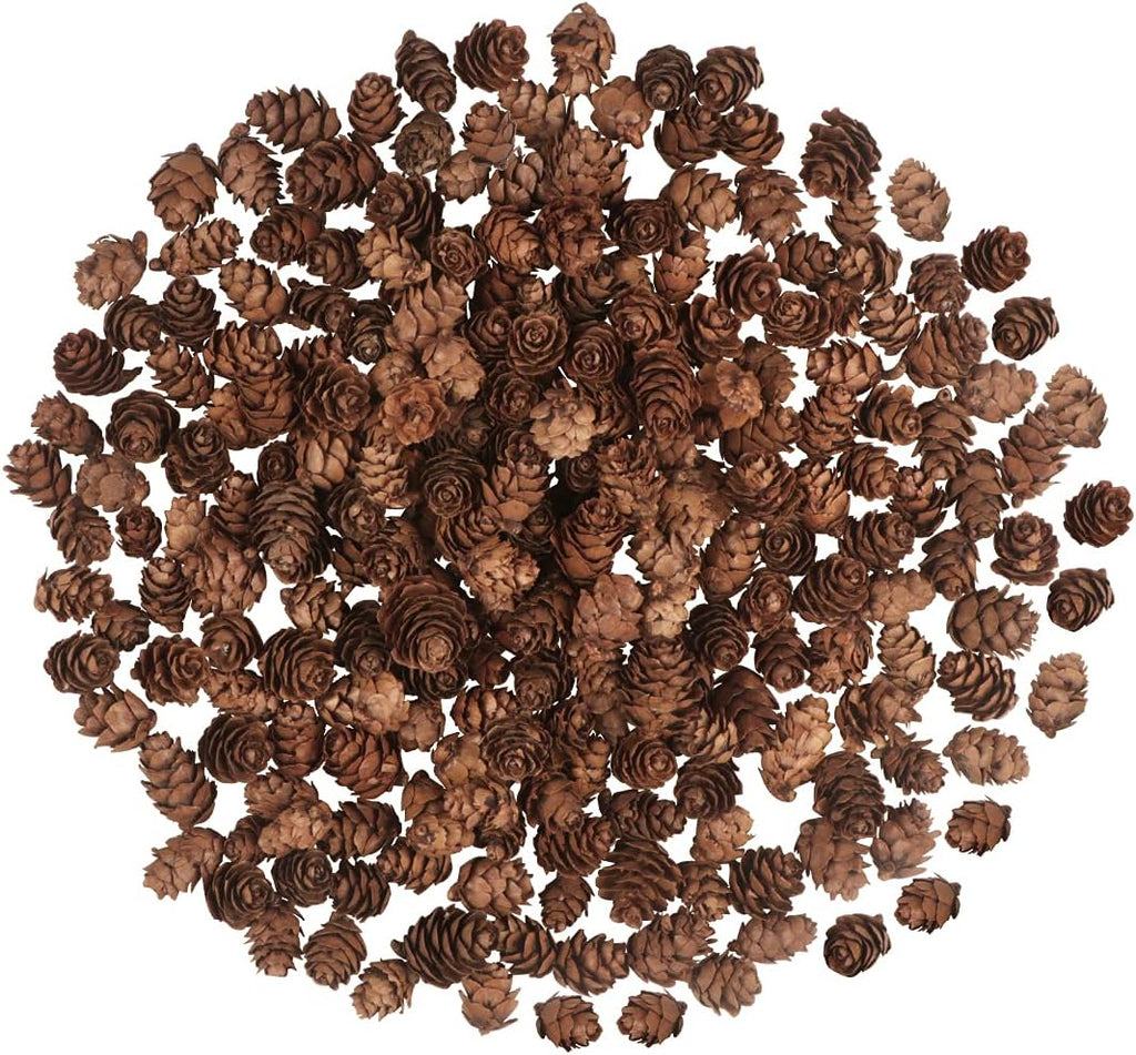 200PCS Christmas Natural Pine Cones Mini Fall Decorations Pinecones Ornaments Bulk Small Pine Cones for DIY Crafts Thanksgiving Fall Winter Christmas Wedding Decor Vase Filler Decor