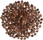 200PCS Christmas Natural Pine Cones Mini Fall Decorations Pinecones Ornaments Bulk Small Pine Cones for DIY Crafts Thanksgiving Fall Winter Christmas Wedding Decor Vase Filler Decor