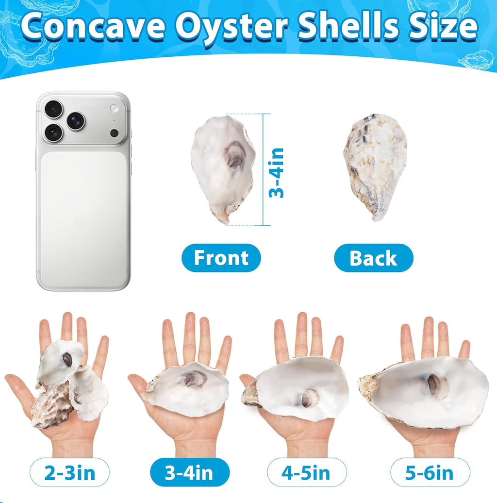 30Pcs 3-4 Inch Concave Oyster Shells for Crafts, Cleaned Natural Medium Oyster Shells for Decoupage Vase Filler Wedding DIY Decor Coastal Christmas Seashells Art