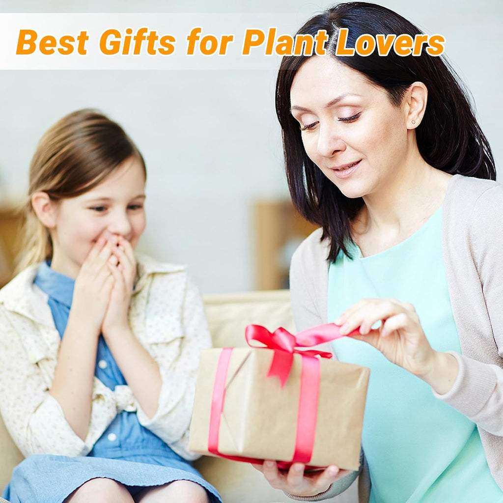Plants Propagation Stations, Desktop Propagation Vase for Living Room, Bedroom, Wedding, Best Gifts for Plant Lovers, Clear