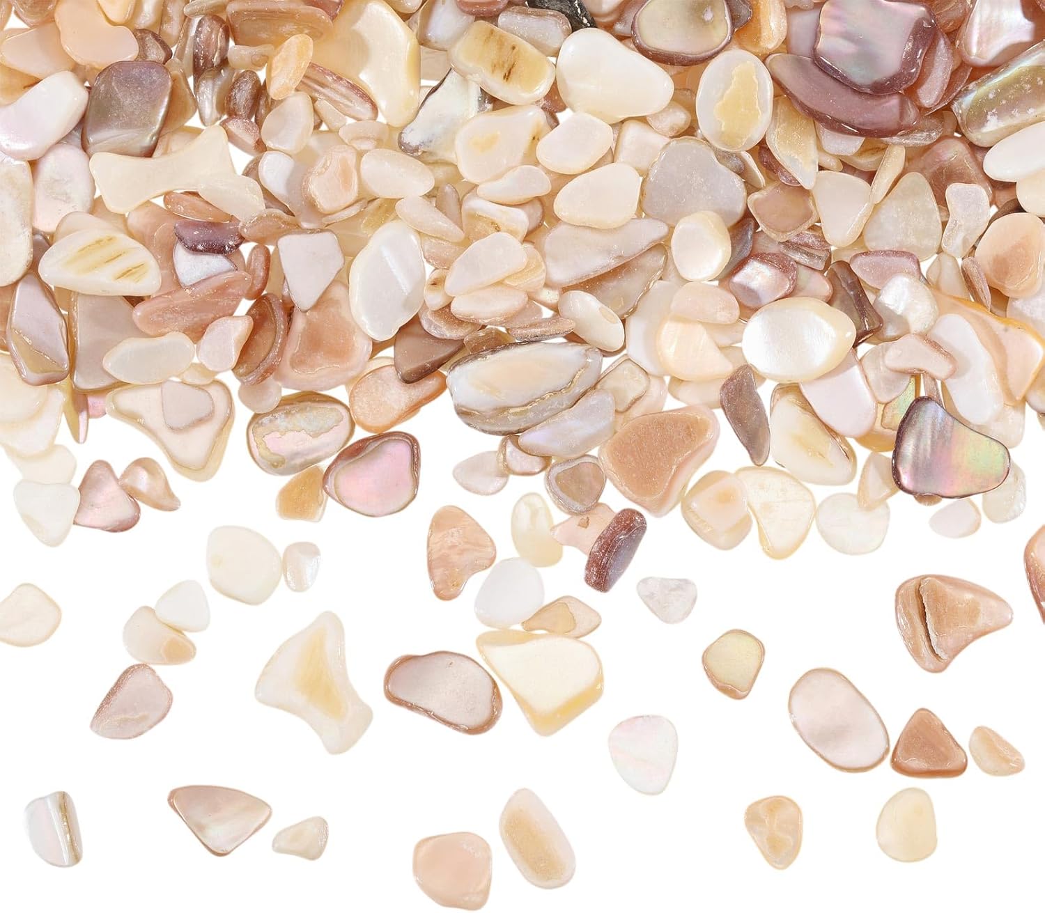1000g/2.2BL Natural Crushed Shells Chips, 3-9mm Irregular Seashell Fragments, Sea Shell Pieces for DIY Crafts, Vase Filler, Home Décor, Art Projects, Beige Mosaic Decoration