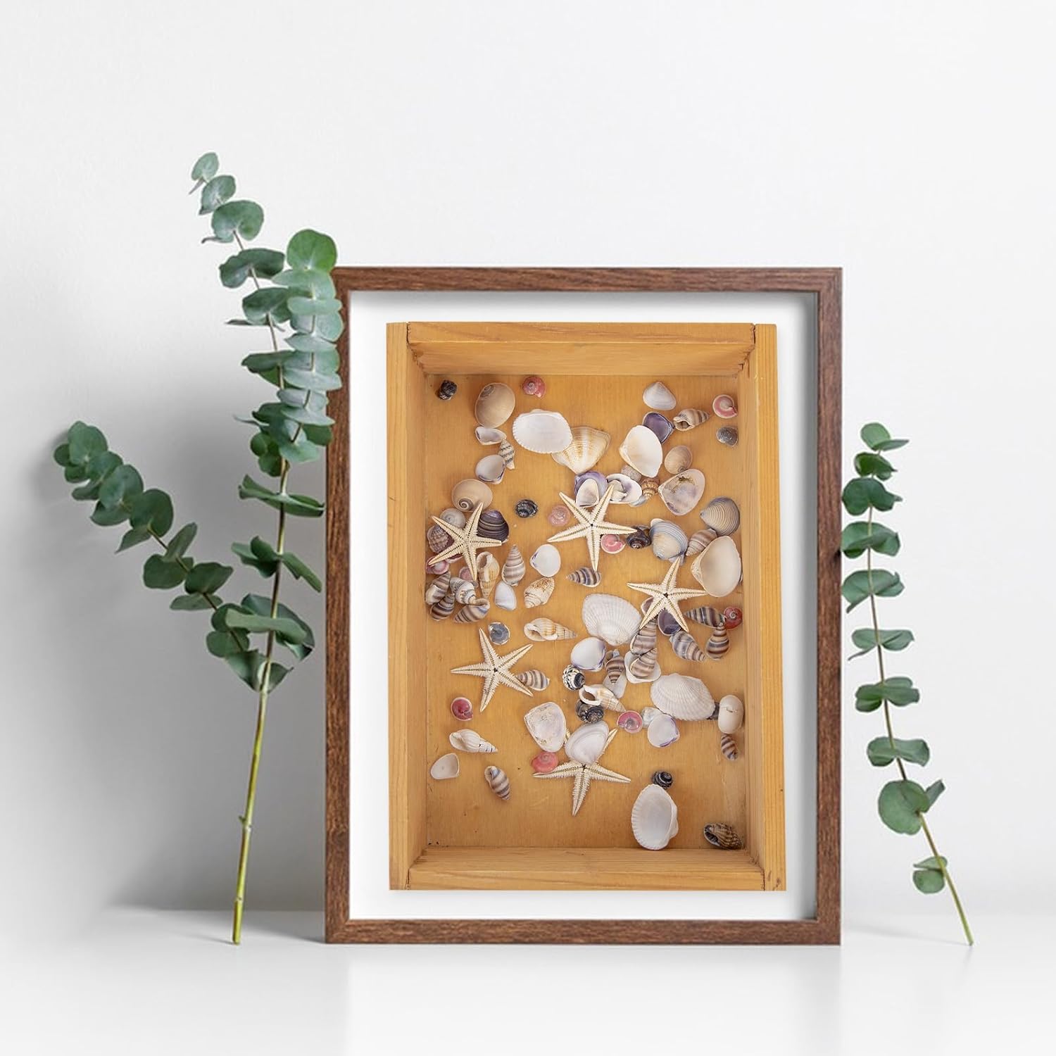 JQAQJU 1000 PCS Mini Sea Shells Small Starfish Mixed, 20 Kinds of Tiny Seashells Bulk for Crafting, Beach Natural Spiral Conch Shells for Crafts DIY Beach Theme Party Candle Decor Wedding Fish Tank