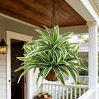 3Pcs Fake Ferns, Faux Outdoor Plants UV Resistant,3D Real Touch Fake Plants Total 60 Blades,Weatherproof Artificial Plants Outdoor Indoor for Garden Porch Home Office Decor