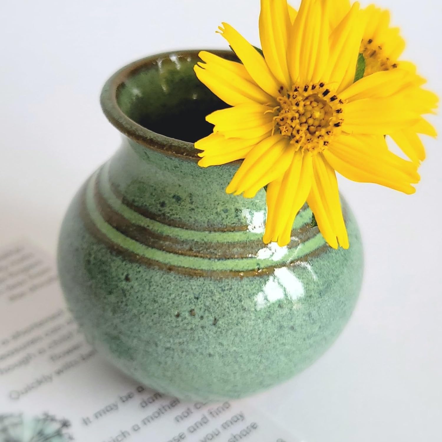 Handmade Dandelion Flower Pot for New Mommy to Be - Miniature Pottery Vase for Baby Shower Favor Presents Green (Miniature Vase w/Cork)