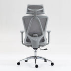 Ergonomic High Back Mesh Office Chair with Adjustable Lumbar Support and Headrest for Comfortable Workdays - Breathable, 3D Armrests, Reclining Seat - Ideal for Home and Office,Grey