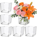 6 Pack Square Glass Vase 4" x 4" x 4", Clear Cube Vases for Centerpieces, Thickened Glass Flower Vases, Plant Terrarium, Floating Candle Holder for Wedding Party, Office/Home Decor, Events