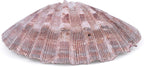 PPCLION 4 PCS 5" Large Great Scallop Shells Brown Lion's Paw Baking Seashells