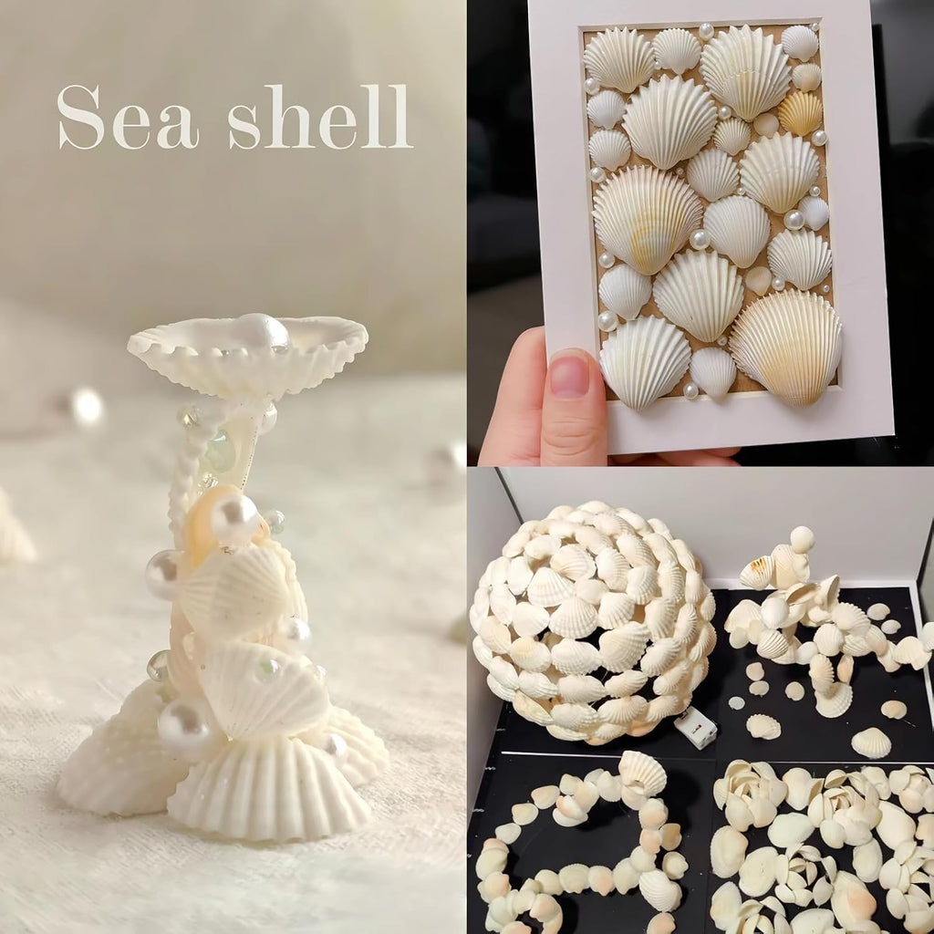 140Pcs Tiny Sea Shells - 0.8-1.2 inches Natural Small White Clam Shells for Crafts Bulk for Home Decor, Beach Theme Party, Fish Tank Vase Filler, Bracelet Making
