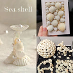 140Pcs Tiny Sea Shells - 0.8-1.2 inches Natural Small White Clam Shells for Crafts Bulk for Home Decor, Beach Theme Party, Fish Tank Vase Filler, Bracelet Making