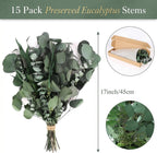 16PCS Real Dried Eucalyptus Stems, Mixed Silver Dollar & Seeded Eucalyptus Leaves, Preserved Natural Greenery for Vase, Wedding Bouquet, Floral Arrangement, Home Decor