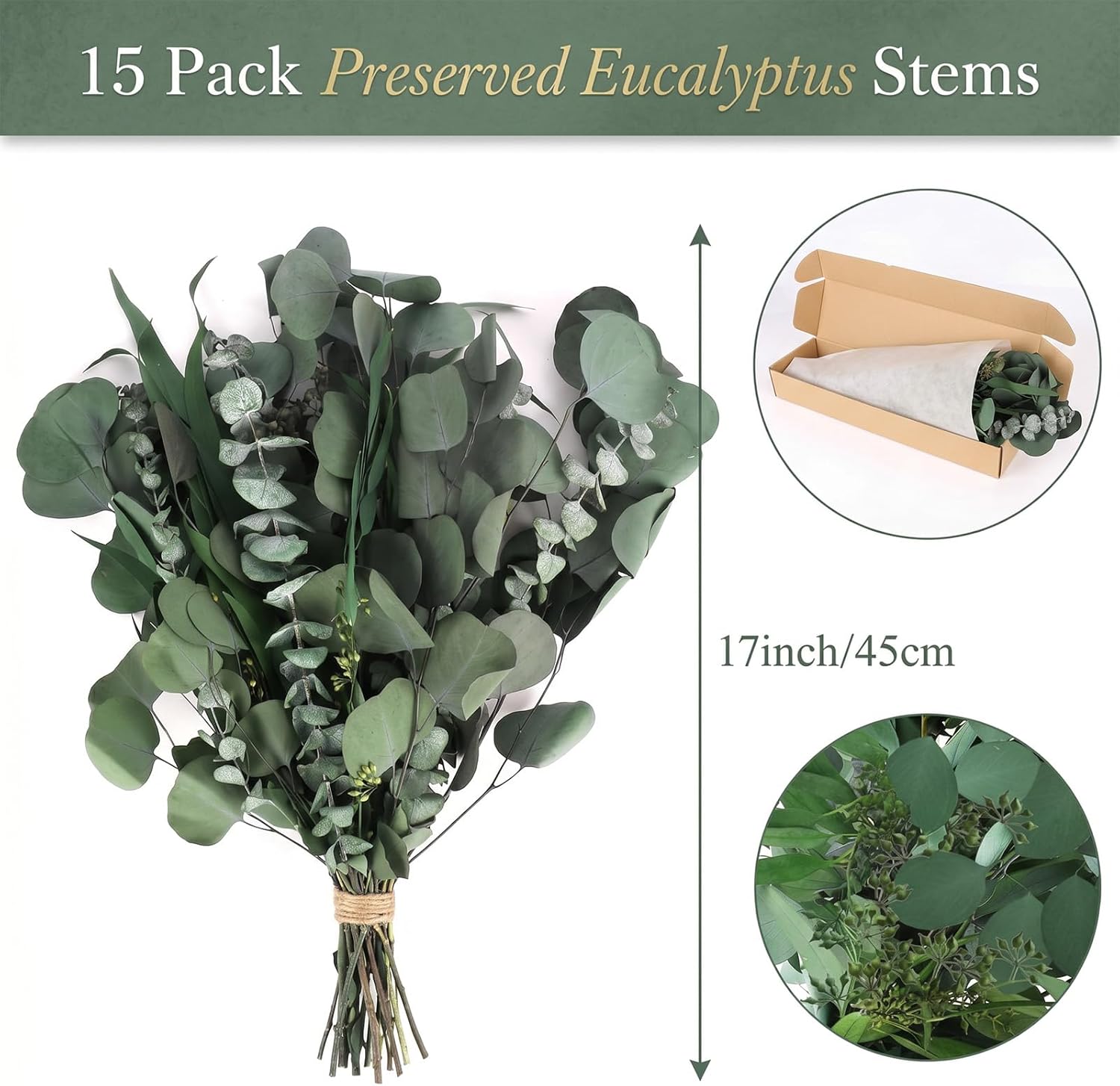 16PCS Real Dried Eucalyptus Stems, Mixed Silver Dollar & Seeded Eucalyptus Leaves, Preserved Natural Greenery for Vase, Wedding Bouquet, Floral Arrangement, Home Decor