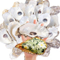 SINKOO 20PCS Concave Oyster Shells 4"-6", Large Oyster Shells for Crafts, Cleaned Natural Oyster Shells Bulk for Christmas, Painting DIY Crafts, Vase Filler, Beach Themes and Sea Shells for Crafts