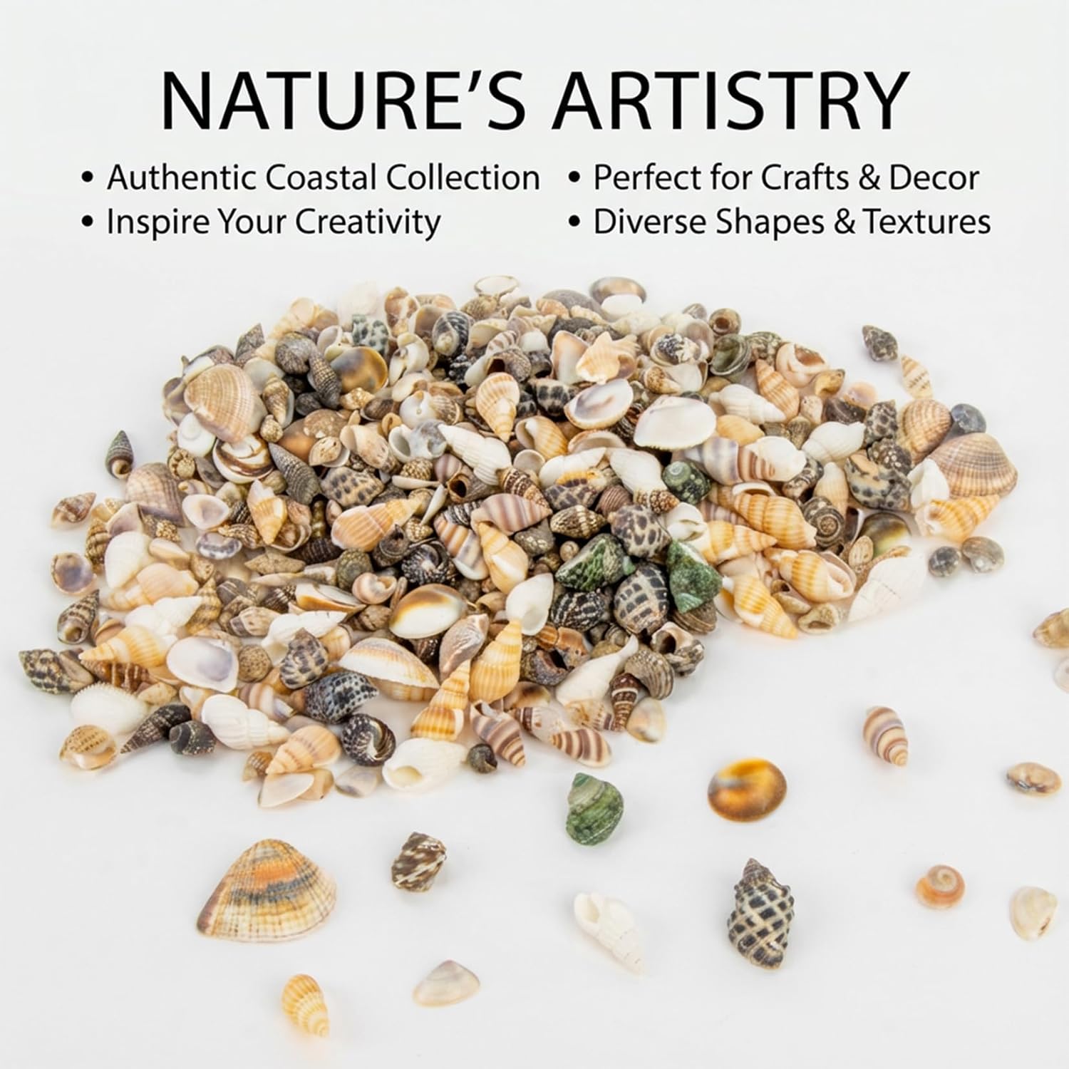 MAQIHAN Tiny Seashells for Crafts - Small Sea Shells Mixed Ocean Beach Shells Bulk for Home Decorations Wedding Decor Beach Theme Party Vase Filler (0.2-0.8 in, 314 Grams)