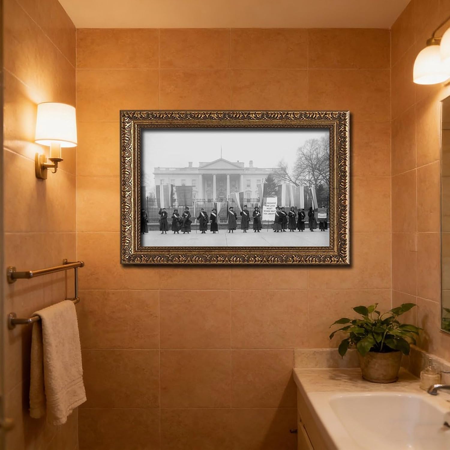 Women's Suffrage Voting Rights Protest At The White House Poster Posters Prints Canvas Deco Paintings Vintage Wall Art For Offices Living Rooms And Bedrooms Hanging Frame 12" L X 18" W