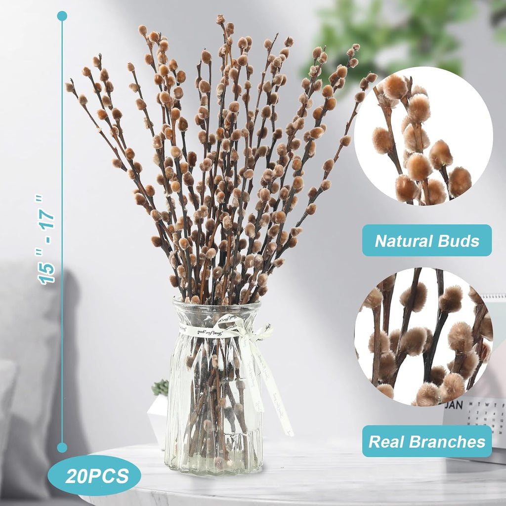 Natural Preserved Dried PussyWillow Branches for Vases, 20 Stems Real Willows, 17” Snow Pussywillows, Dried Flowers for Indoor Decor, Wedding Home DIY Floral Art Plants Fireplace, Brown