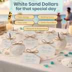 Real Sand Dollars 3" to 3.5" (10 Pack) – Sand Dollar Wall Art & Ornament Set – Beach Wedding Decor – Nautical Party Table Decor – Mini Shells for Crafts – Coastal Gifts