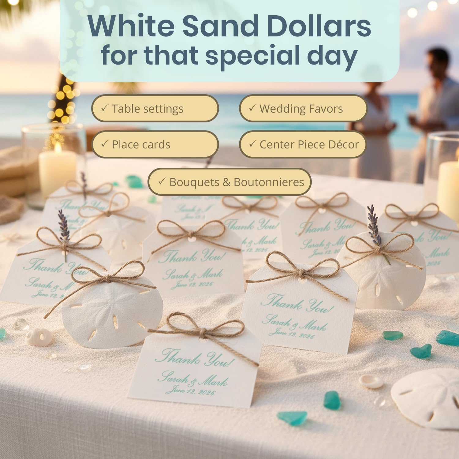 Real Sand Dollars 3" to 3.5" (10 Pack) – Sand Dollar Wall Art & Ornament Set – Beach Wedding Decor – Nautical Party Table Decor – Mini Shells for Crafts – Coastal Gifts