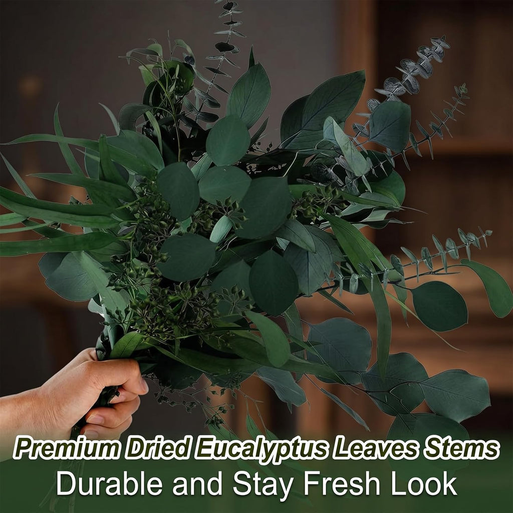 16PCS Real Dried Eucalyptus Stems, Mixed Silver Dollar & Seeded Eucalyptus Leaves, Preserved Natural Greenery for Vase, Wedding Bouquet, Floral Arrangement, Home Decor